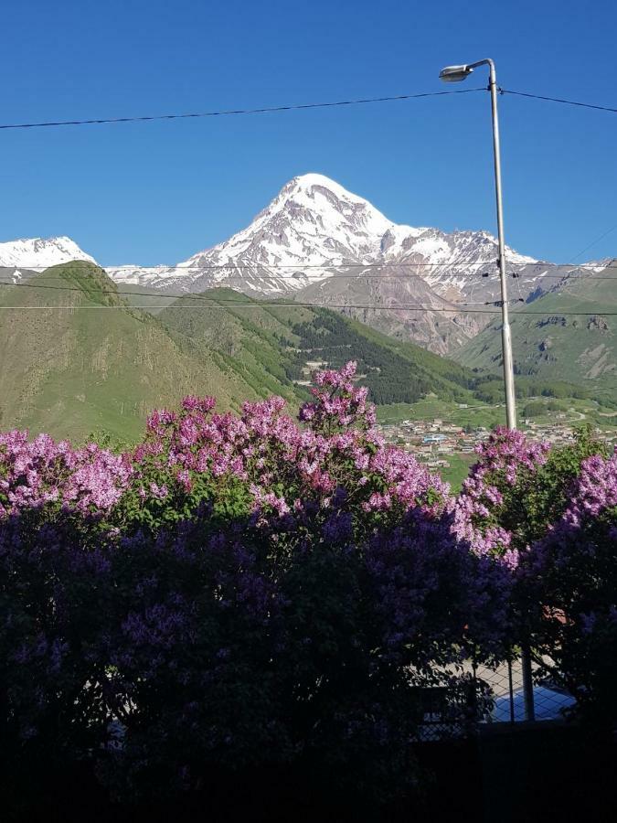 Hilltop Kazbegi Екстериор снимка